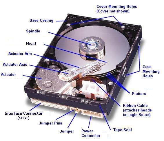 Hard Drive